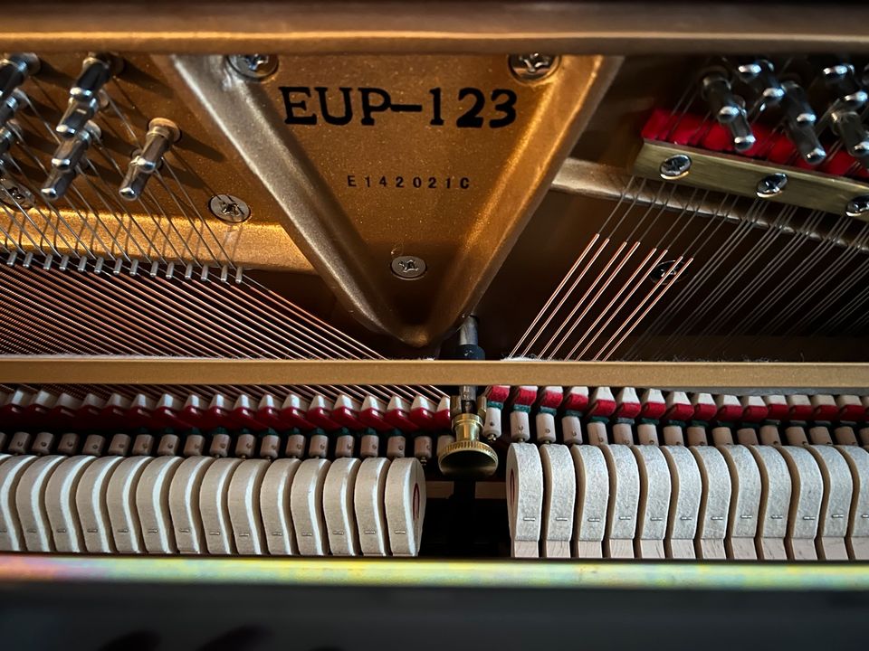 Klavier Essex von Steinway in Hamburg