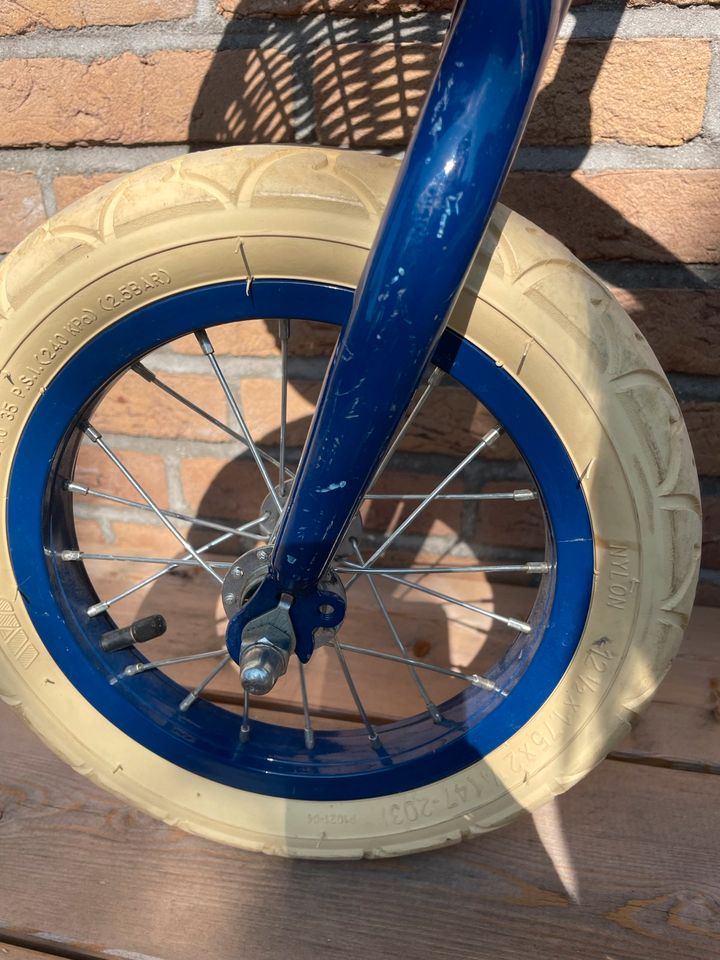 Banwood Laufrad blau in Lichtenstein