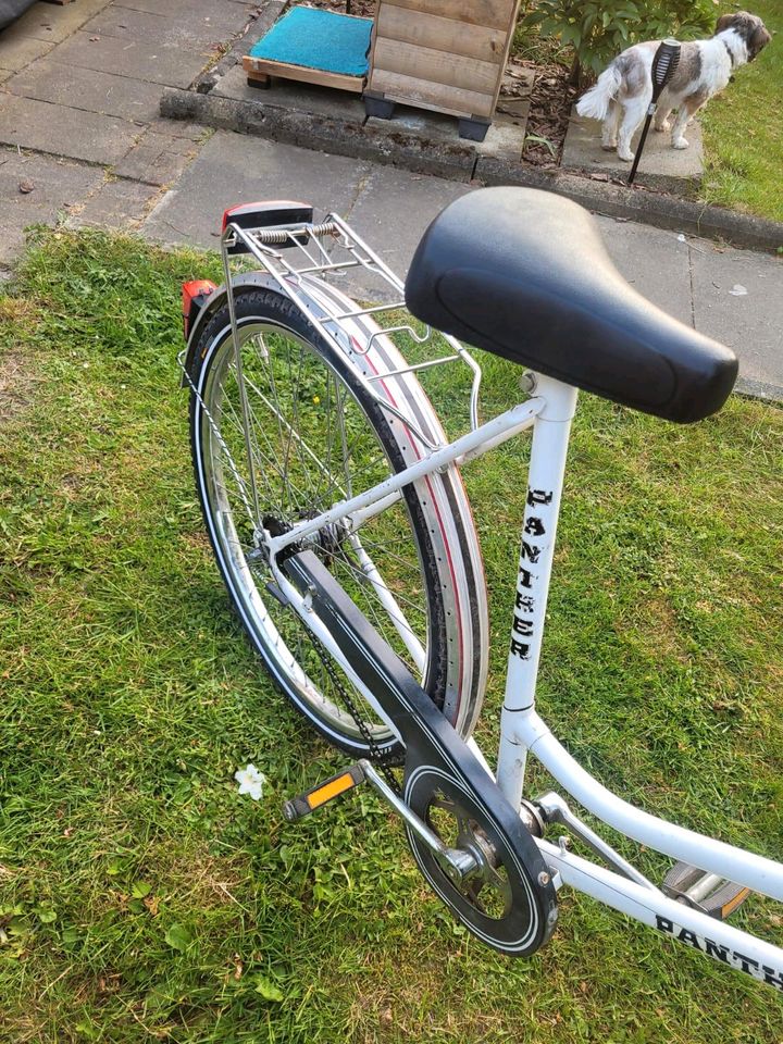 26er Panther Damenfahrrad 3-Gang Torpedo in Wolfenbüttel