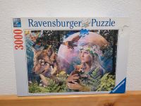 Ravensburger Puzzle 3000 Teile Rheinland-Pfalz - Worms Vorschau
