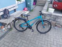 Orbea MX 24 Bayern - Illschwang Vorschau