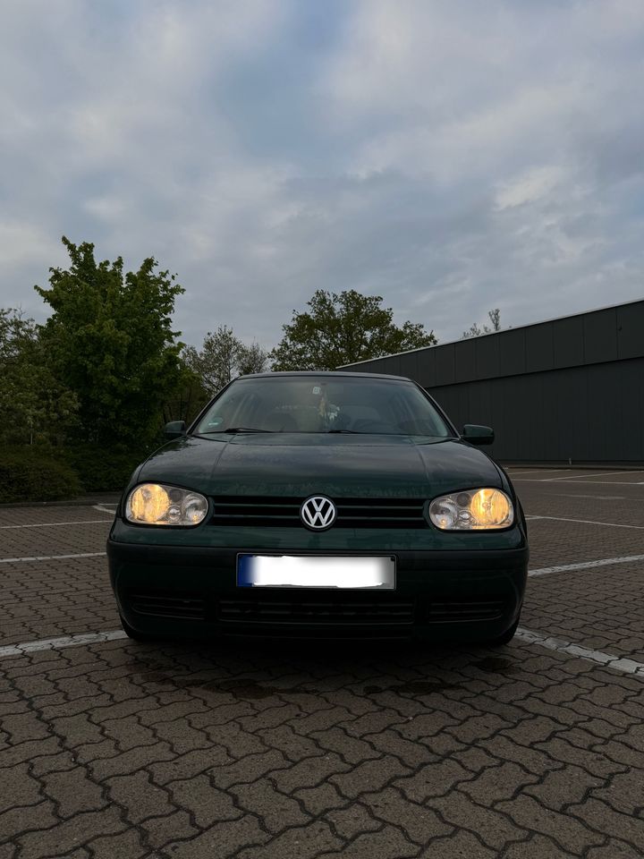 VW Golf 4. in Hessisch Oldendorf