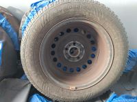 4x Dunlop Winterreifen auf Stahlfelge 195/65 R15 VW Golf 7 Hessen - Dieburg Vorschau