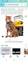 Katzengeschirr / Leine für Katzen von Tierhood Hessen - Wiesbaden Vorschau