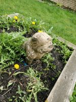 Hunde Statue Nordrhein-Westfalen - Hüllhorst Vorschau