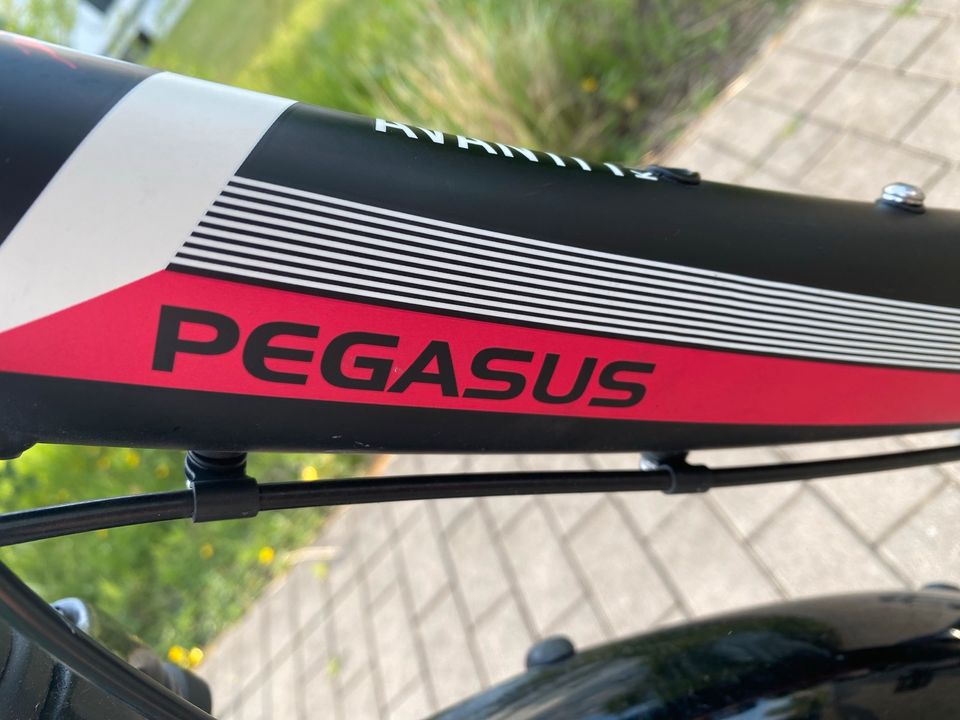 Mädchenfahrrad Pegasus Avanti 7 - 26 Zoll in Ludwigshafen