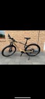 Univega Alpina B LTD , E- Mountainbike Nordrhein-Westfalen - Lohmar Vorschau