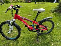 Haibike Greedy Life 20“ Kinderfahrrad Nordrhein-Westfalen - Horn-Bad Meinberg Vorschau