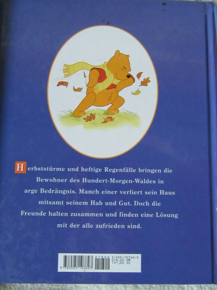 Winnie Puuh Disney Bücher und Plüsch Iah in Teichland