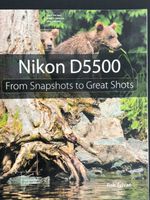 Rob Sylvan, Nikon D5500: From Snapshots to Great Shots Niedersachsen - Dissen am Teutoburger Wald Vorschau