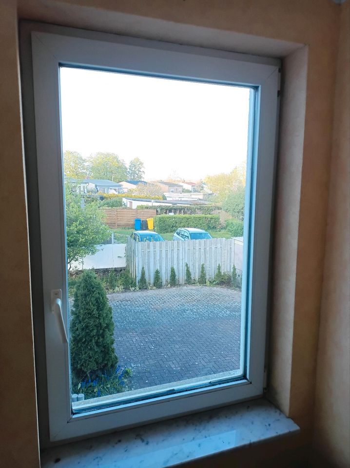 Suche Fensterbauer Fenstermonteur in Rostock