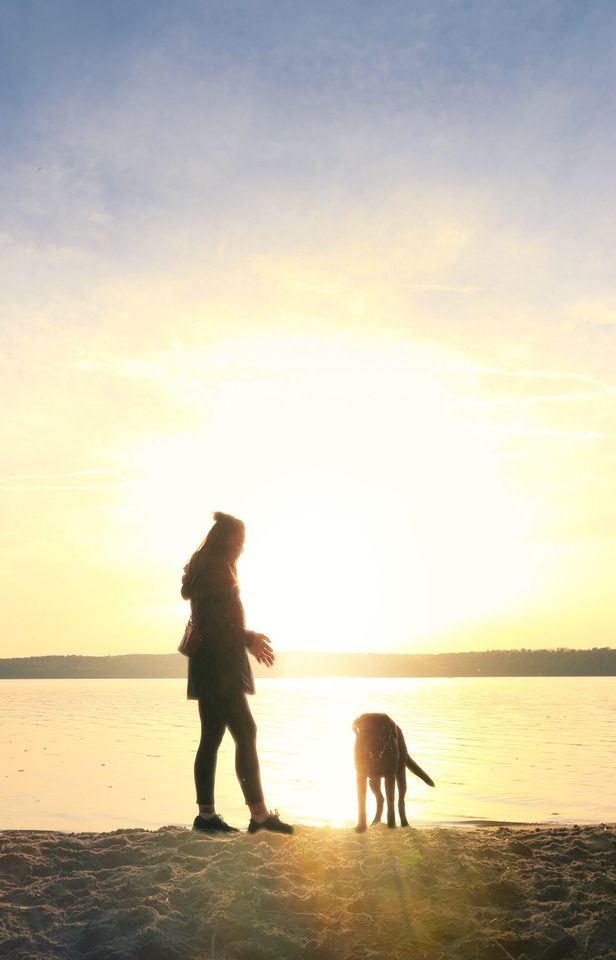 Nebenjob mit Hund oder Remote in Neubrandenburg