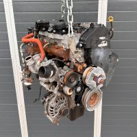 Motor Iveco Daily 2.3 MultiJet 131PS F1AGL411D Euro6 Brandenburg - Blankenfelde-Mahlow Vorschau