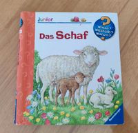 WWW das Schaf (im Streichelzoo gratis) Bayern - Bergrheinfeld Vorschau