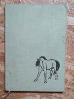 Buch von Erwin Strittmatter "Pony Pedro" Sachsen-Anhalt - Elsteraue Vorschau