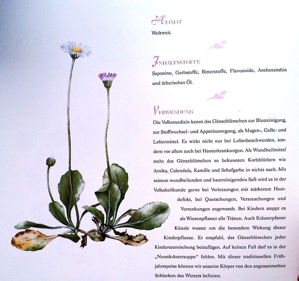 Blütenmythen - Ansichten und Geschichten über Heilpflanzen in Herdecke