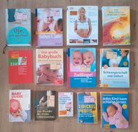 Buch Bücher Schwangerschaft Geburt Baby Kind Papa Essen Zwillinge Rheinland-Pfalz - Böhl-Iggelheim Vorschau