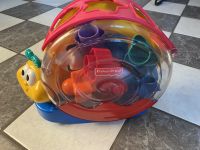 Fisher Price Musikschnecke Sortierbox Motorikspielzeug Kiel - Schreventeich-Hasseldieksdamm Vorschau