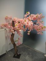 Blütenbaum Dekoration Nordrhein-Westfalen - Lünen Vorschau