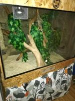 Terrarium OSB Reptilien mit Zubehör, mit oder ohne Unterschrank Münster (Westfalen) - Mauritz Vorschau