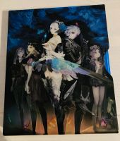 Odin Sphere Leifthrasir im Steelbook PlayStation 4 Niedersachsen - Eydelstedt Vorschau