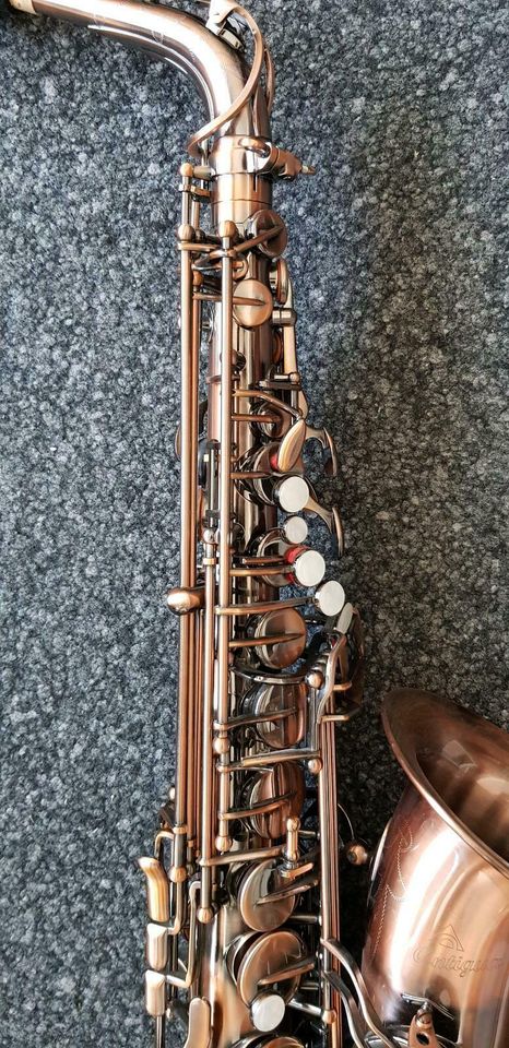 Altsaxophon Antigua 4240 Alt Saxophon Vintage Kupfer in Hannover