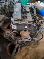 Ford 2.2 TDCI FWD Motor, Motor-Code CVRA Rostock - Stadtmitte Vorschau