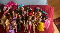 Barbie Puppen Konvolut Sachsen-Anhalt - Hasselfelde Vorschau