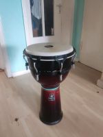 Djembe Meinl Trommel Bonn - Endenich Vorschau