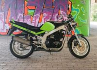 Suzuki GS500E "Monster" gedrosselt Niedersachsen - Ronnenberg Vorschau