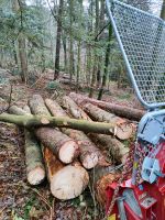 Forst Dienstleistungen Holz Brennholz Baden-Württemberg - Murrhardt Vorschau