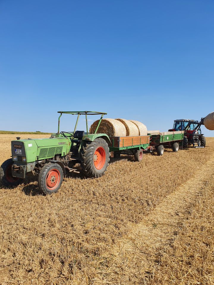 Fendt Farmer 4S in Gleichen