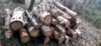 Holz , Brennholz, Kaminholz zu verkaufen Nordrhein-Westfalen - Hattingen Vorschau