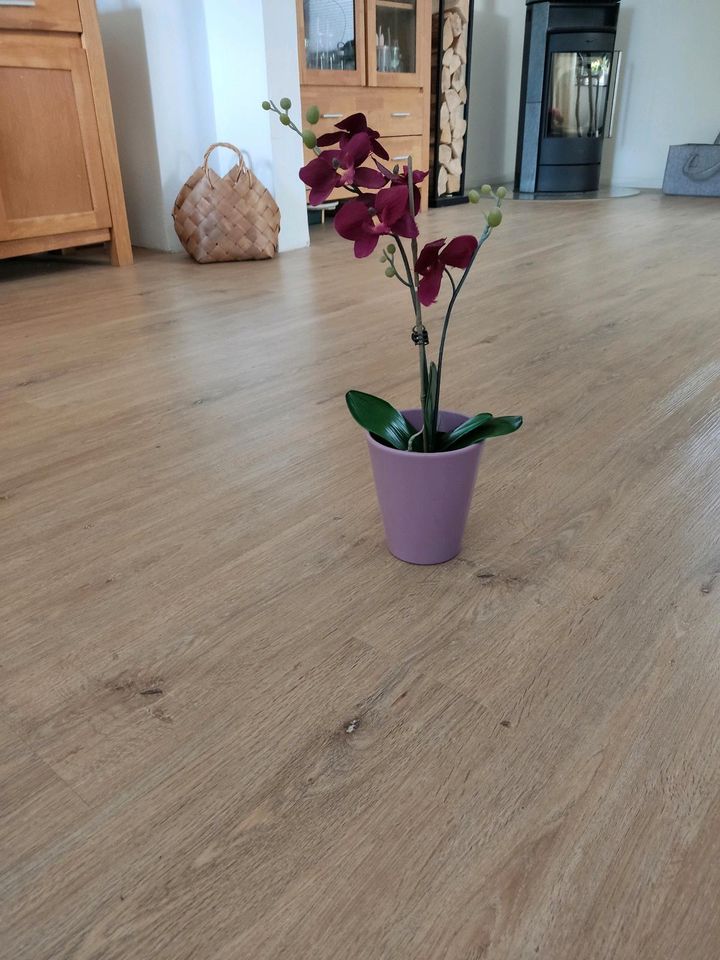 Künstliche Orchidee pink in Marl