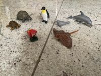 Schleich Wild Life - Meerestiere und Exotische Tiere Nordrhein-Westfalen - Gelsenkirchen Vorschau