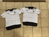 Puma Borussia Mönchengladbach 152 Shirt Polo T Shirt Nordrhein-Westfalen - Tönisvorst Vorschau