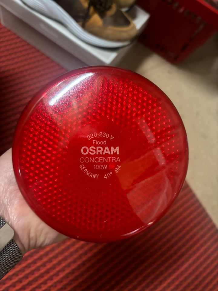 Ostram Concentra 100 Watt Vintage 3 Stück in Albstadt