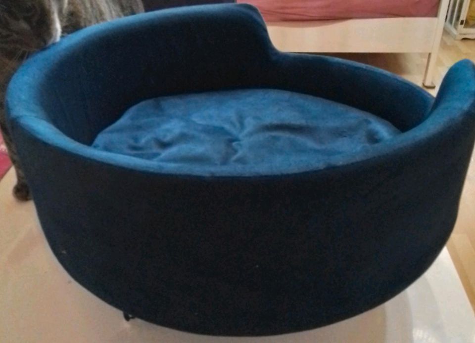 Katzen sofa, sehr guter zustand Blau samt in Berlin