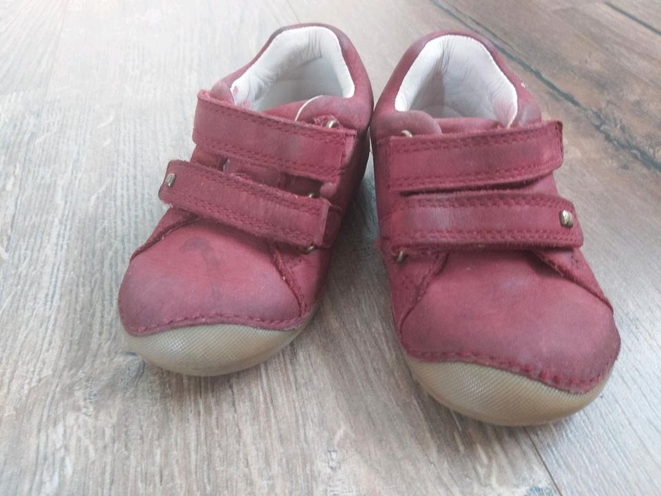 Elefanten Lauflernschuhe Gr. 20 in Oranienburg