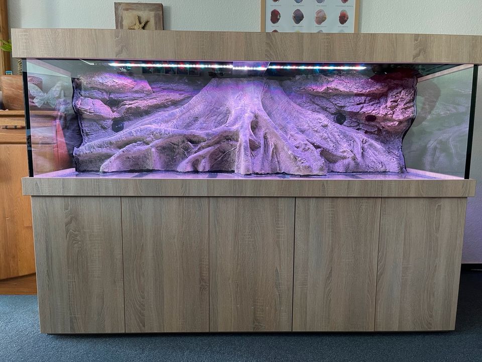 Aquarium Kombination 160x60x60cm 576Liter in vielen Dekoren NEU! in Dortmund