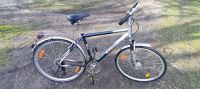 Trekking Bike, Herrenfahrrad BARRACUDA, 28 Zoll, Schwalbe Decken Brandenburg - Wusterwitz Vorschau