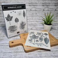 Stampin up stampinup Stempelset Gorgeous leaves Thüringen - Vacha Vorschau