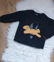 Cooler LooneyTunes Pullover Gr. 116 - Zara Nordrhein-Westfalen - Wetter (Ruhr) Vorschau