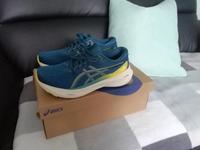 asics gel kayano laufschuhe Thüringen - Bürgel Vorschau