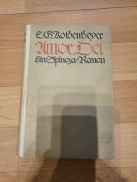 Buch E. G. Kolbenheyer Amor Dei Ein Spinoza-Roman 1923 Sachsen-Anhalt - Halle Vorschau