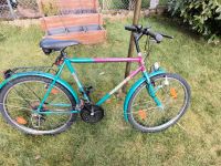 Mountainbike Fahrrad 26 zoll Nordrhein-Westfalen - Dormagen Vorschau