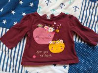 Longsleeve Langarmshirt von Baby Club Gr 62 mit Äpfelchen Nordrhein-Westfalen - Bergisch Gladbach Vorschau