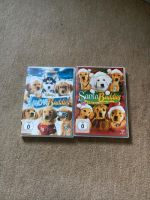 DVD Snow Buddies Teil eins und zwei Hessen - Usingen Vorschau