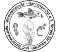 Verschiedene Aquarienfische Hannover - Misburg-Anderten Vorschau