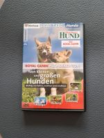 DVD Hund Erziehung/Haltung/Pflege/Ernährung Nordrhein-Westfalen - Kempen Vorschau